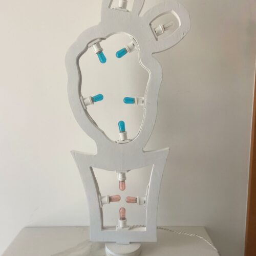 Luminaria Cactus in fiore